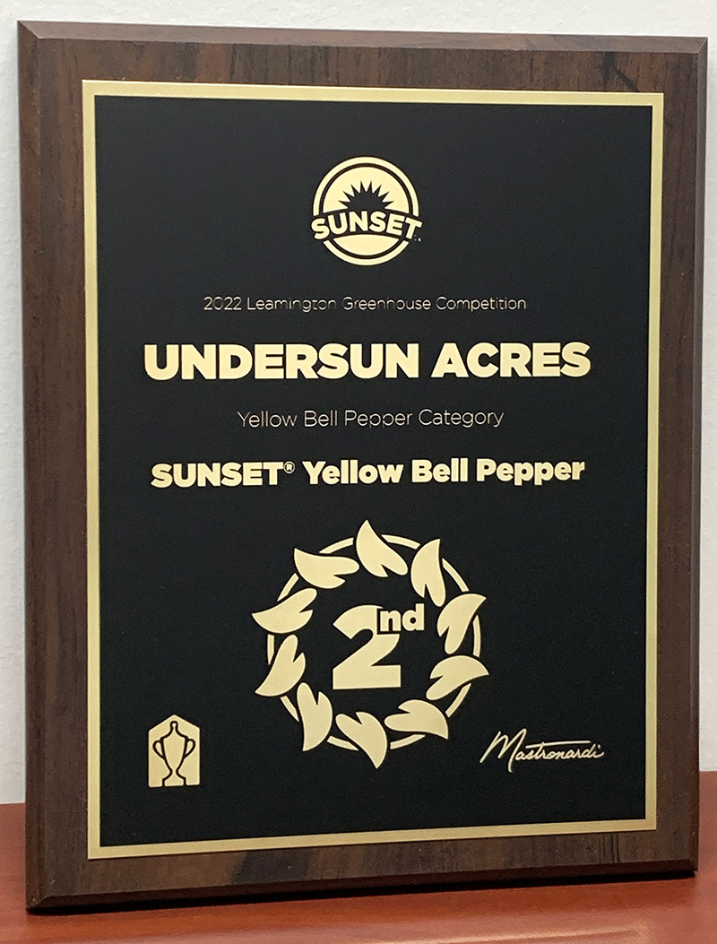 2022 Leamington Greenhouse Competitions 2nd place award for Yellow Bell Peppers